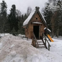 фото из отзыва ID 2269914