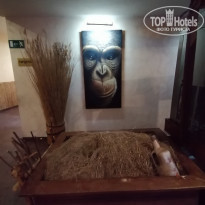 фото из отзыва ID 2269914