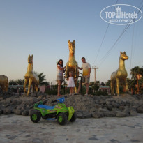 фото из отзыва ID 227261