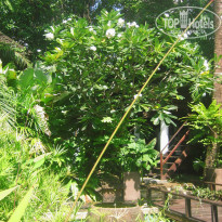 фото из отзыва ID 227874