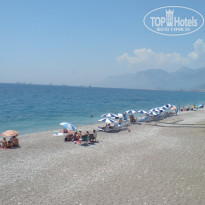 фото из отзыва ID 227975