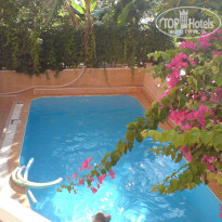 фото из отзыва ID 227975