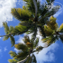 фото из отзыва ID 2270011