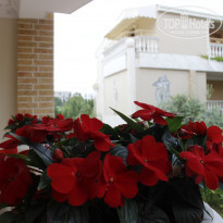 фото из отзыва ID 2270014