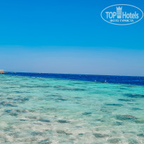 фото из отзыва ID 2270138