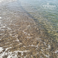 фото из отзыва ID 2270147