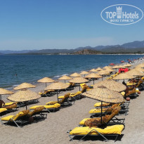 фото из отзыва ID 2270147