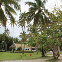 фото из отзыва ID 2270154