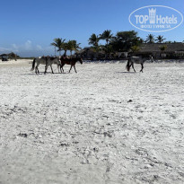 фото из отзыва ID 2270111