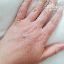 фото из отзыва ID 2270267