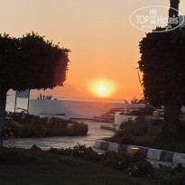 фото из отзыва ID 2270285