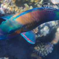 фото из отзыва ID 2270354