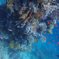 фото из отзыва ID 2270354