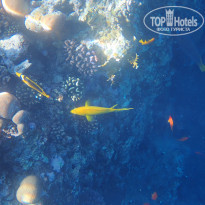 фото из отзыва ID 2270354