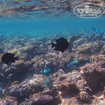 фото из отзыва ID 2270354