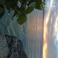 фото из отзыва ID 2270462