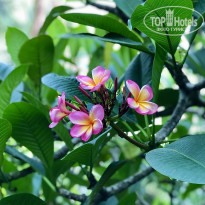 фото из отзыва ID 2270476