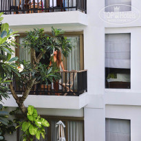 фото из отзыва ID 2270602