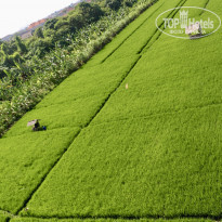 фото из отзыва ID 2270602