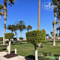 фото из отзыва ID 2270609