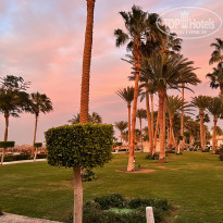 фото из отзыва ID 2270609