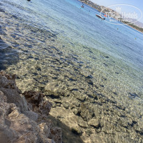 фото из отзыва ID 2270638