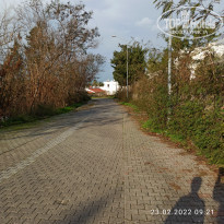 фото из отзыва ID 2270600