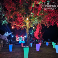 фото из отзыва ID 2270788