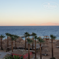 фото из отзыва ID 2270829