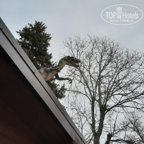 фото из отзыва ID 2270861