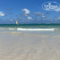 фото из отзыва ID 2270962