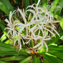 фото из отзыва ID 2271006