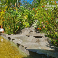 фото из отзыва ID 2271006