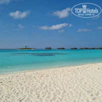 фото из отзыва ID 2271006