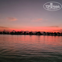 фото из отзыва ID 2271006