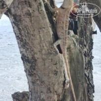 фото из отзыва ID 2271006