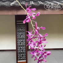 фото из отзыва ID 2271006