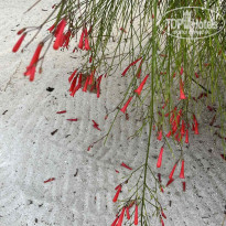 фото из отзыва ID 2271006