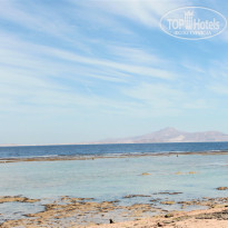 фото из отзыва ID 2271369