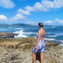 фото из отзыва ID 2271403