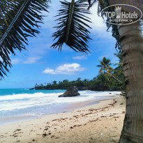 фото из отзыва ID 2271403