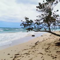 фото из отзыва ID 2271403