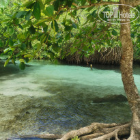 фото из отзыва ID 2271403