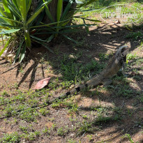 фото из отзыва ID 2271407