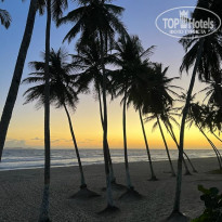 фото из отзыва ID 2271407