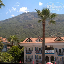 фото из отзыва ID 2271452