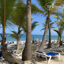 фото из отзыва ID 2271514