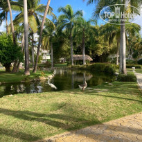 фото из отзыва ID 2271639