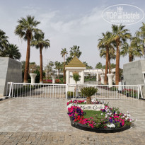 фото из отзыва ID 2271667