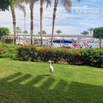 фото из отзыва ID 2271667